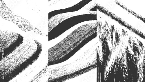 Three abstract monochrome textured panels depicting sand dunes and wheat stalks pattern