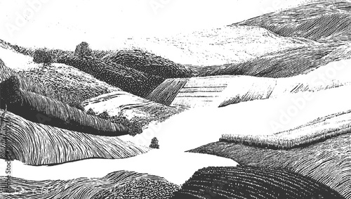 Black and white textured landscape of rolling hills and fields with a single tree