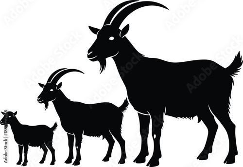 Goat family silhouette illustration showing growth stages for farming agriculture livestock and rural design concepts branding wildlife graphics