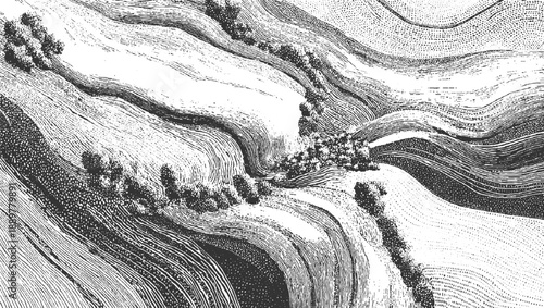 Black and white etching of rolling hills with trees and textured fields engraving vintage
