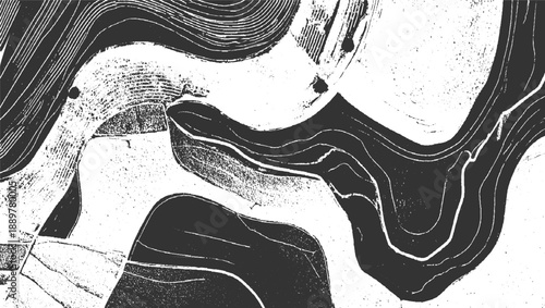 Abstract monochrome pattern of curved lines and textured areas resembling aerial view of fields and waterways