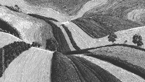 Black and white woodcut engraving of rolling hills and cultivated fields with trees monochrome