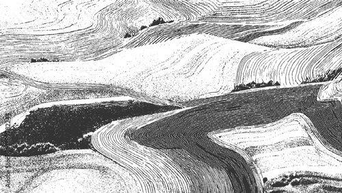 Aerial view of contoured farmland with dark soil and white lines