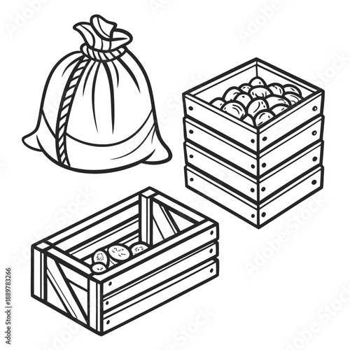 Collection of storage containers