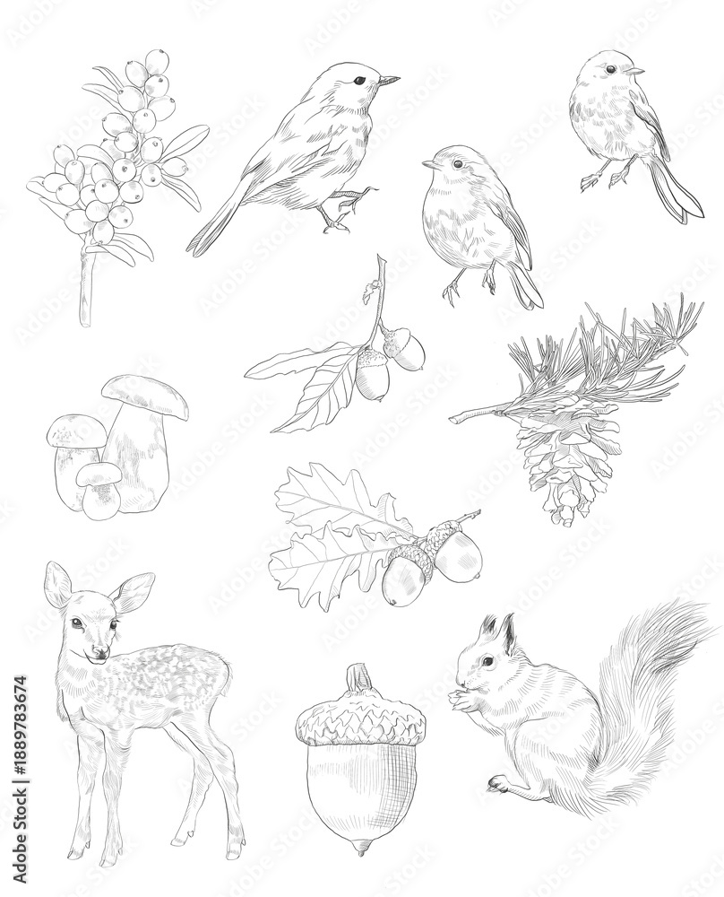 Fototapeta premium set of hand drawn animals