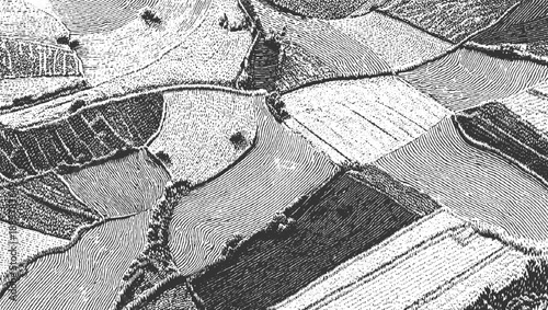 Aerial view of a black and white etched landscape with patterned fields and trees