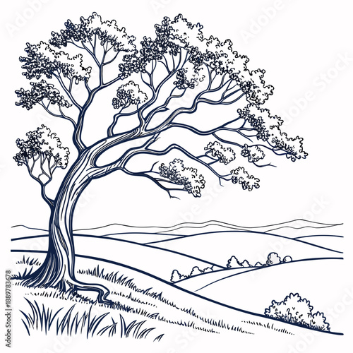Lone tree in rolling landscape