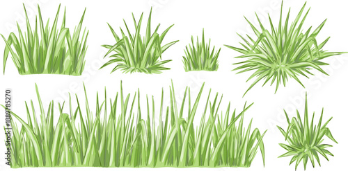Grass. Border, divider and elements, Vector isolated decorations