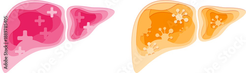 Liver. Health and illness. Paper cut design element. Medical vector layered illustration.