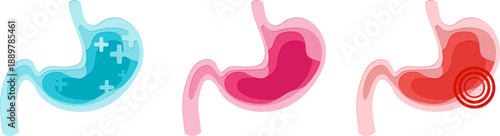 Stomach. Health and pain. Paper cut design element. Medical vector layered illustration.