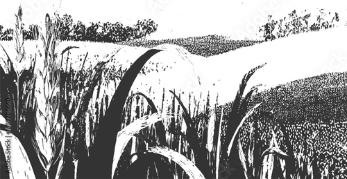 Black and white ink of tall grass and rolling hills under a textured sky field trees