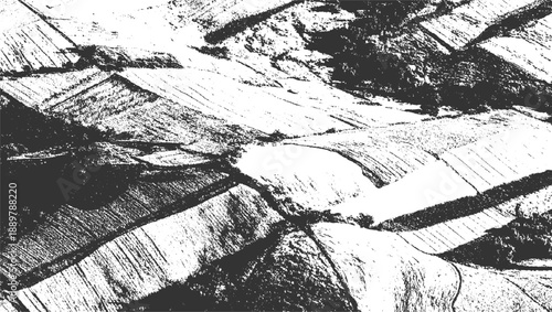 Contrast aerial view of textured agricultural fields with linear patterns and dark shadows black white