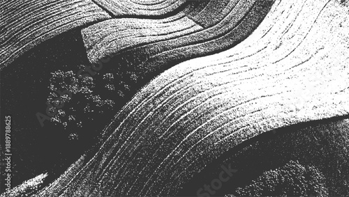 Abstract monochrome textured background with organic wavy lines and granular detail