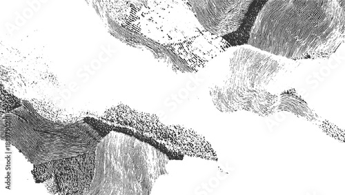 Abstract black and white textured pattern resembling topographical lines and speckled areas