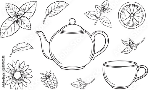 Herbal tea set with teapot cup leaves flowers and citrus slices line art illustration coloring page style