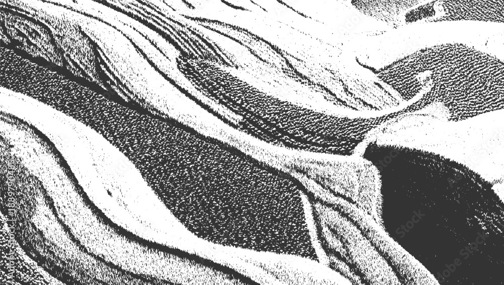 Obraz premium Abstract monochrome textured pattern of flowing organic shapes and lines