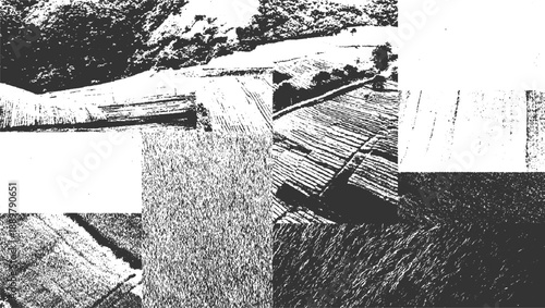 Textured black and white aerial view of agricultural fields with trees and rough ground agriculture