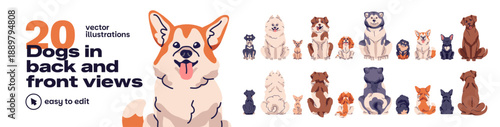 Front and back views of dogs set. Puppies of different breeds from various sides. Sitting and turning away pets. Cute domestic animals. Flat isolated vector illustrations on white background