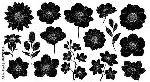 Elegant flower silhouettes featuring varied blooms and foliage creating a striking floral display