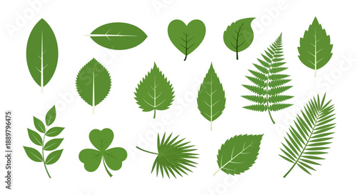 Assorted green leaf vector set, diverse botanical foliage, flat design on isolated white background