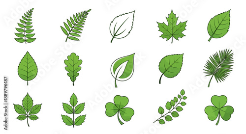 Assortment of stylized green leaves representing diverse plant species and foliage
