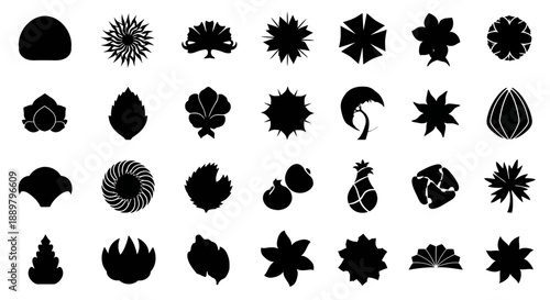 Collection of floral and botanical black silhouettes creating dynamic visual appeal and artistic