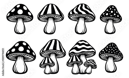 Hand drawn line art mushroom set featuring various patterned fungi for fantasy design