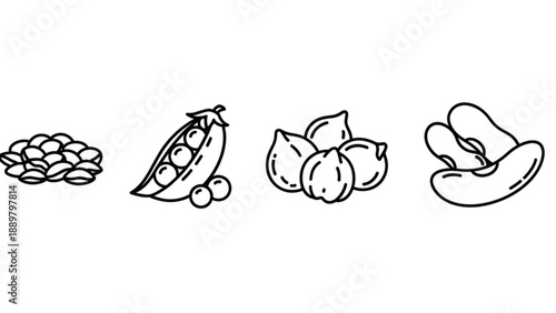 Variety of nuts and legumes line icons including peanuts peas hazelnuts and cashews