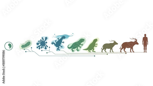 Evolutionary timeline of life on earth from microbe to human illustrating major stages of species development