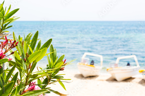 Photography Pink oleander leafs, blue sea and boats summer background