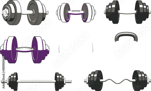Set of various dumbbells and barbells fitness equipment elements