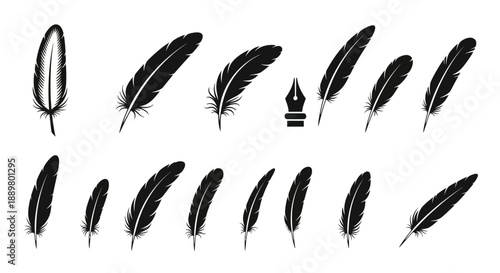 Sophisticated Feather Silhouette Assortment with Inkwell Nib for Authentic Writing Depiction