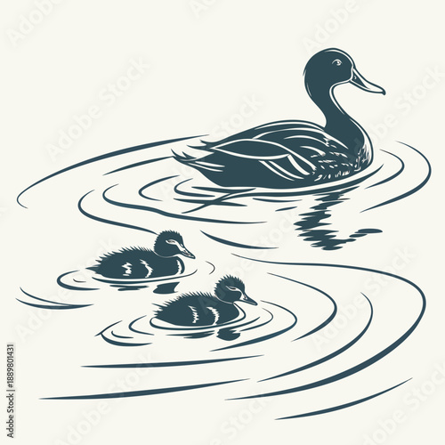 Mother duck swims with her ducklings