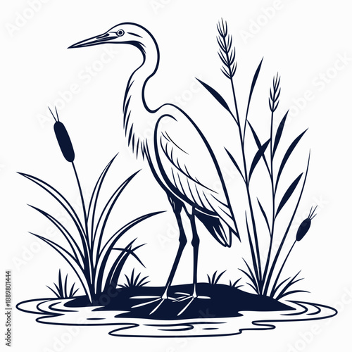 Heron in marshland