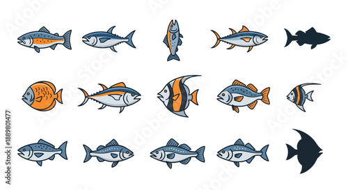 Diverse fish species set on white background offering a range of visual elements for design purposes