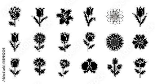 Botanical collection of black and white flower icons symbolizing nature beauty and floral designs