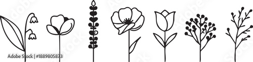 Floral vector art: line art flowers, botanical illustrations, black and white flower designs eps silhouette