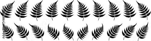 Fern leaf line icon set natural plants botany design illustration
