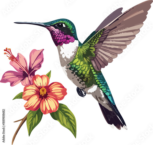 hummingbird and flower