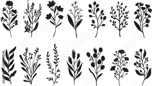 Black and white botanical vector set: floral clip art, flower silhouettes, plant illustrations eps