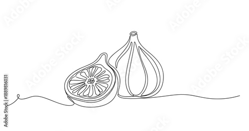 Continuous line drawing of whole and halved figs on white background. Non editable stroke