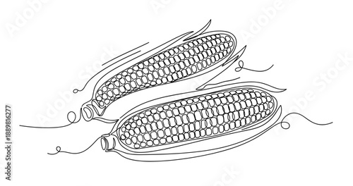 Line art drawing of two ears of corn with husks. Non editable stroke