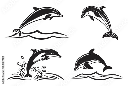 Placeholder image display