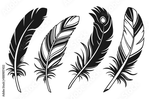 Placeholder image display