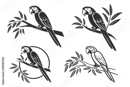 Placeholder image display