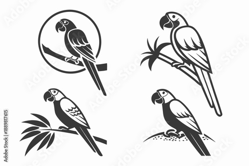 Placeholder image display