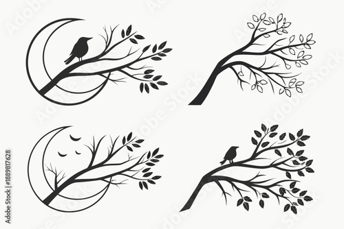 Placeholder image display