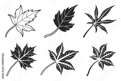 Displaying a vector file