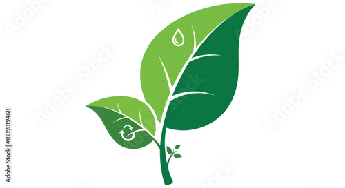 Ecological sustainability symbol: green sprout with leaf, water drop and recycle signs