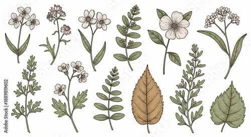 Vector illustration of a seamless floral pattern and nature element set featuring spring leaves, tree branches, and plant foliage for summer wallpaper decoration